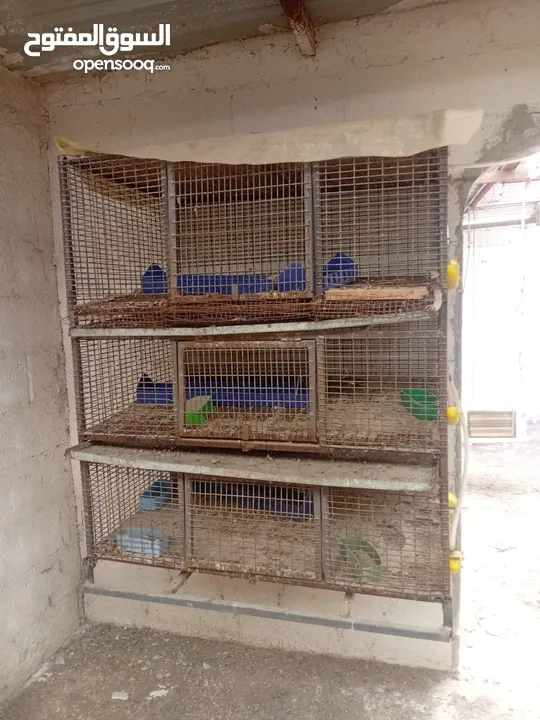 بياضات دجاج ومعالف ومشارب  واقفاص طابقين  للفري وطباق  بيض فري للفقاسات ايطالي للبيع بحاله ممتازه