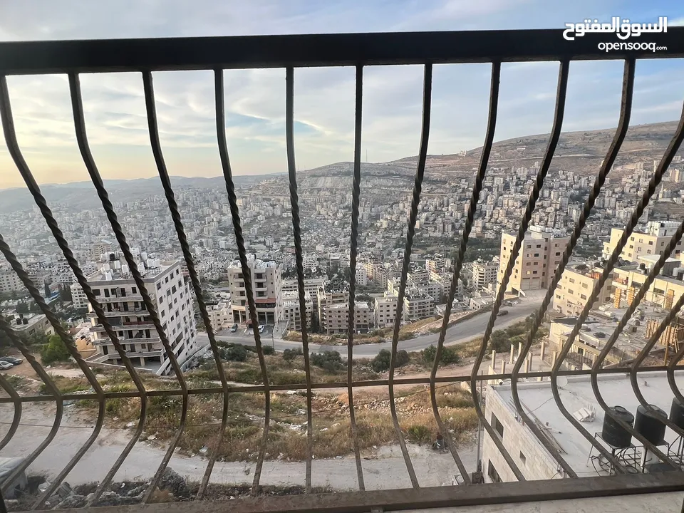 هبه خيري غضيب
