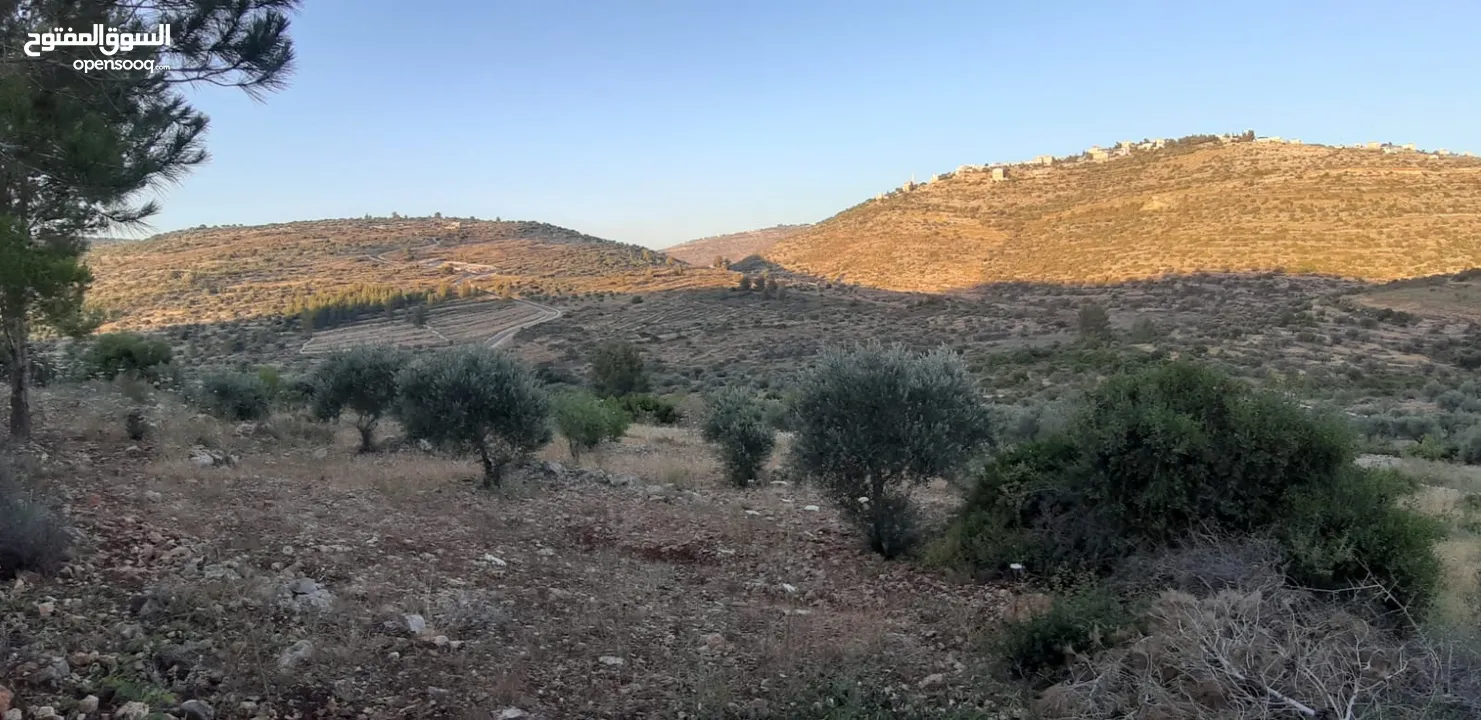 ارض للبيع بسعر مغري جدا عالكاششش