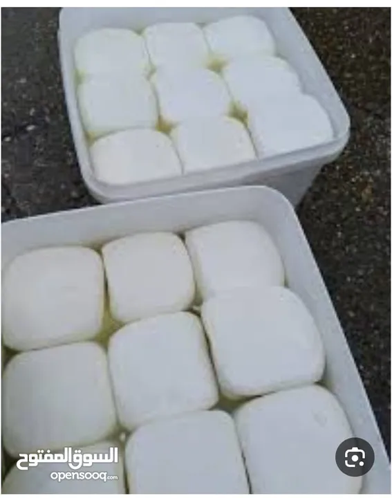 عسل نحل ممتاز ،جبنه بيضاء ممتاز بما يرضي الله