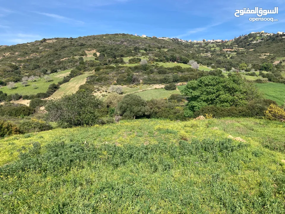 ارض للبيع فلاحيةعدلية للبيع قريبة من مدينة طنجة  مساحتها اكثر من 2000 متر مربع