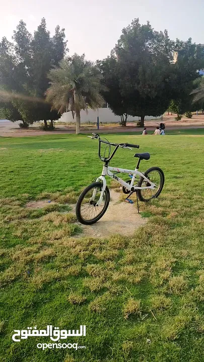 دراجه النوع BMX