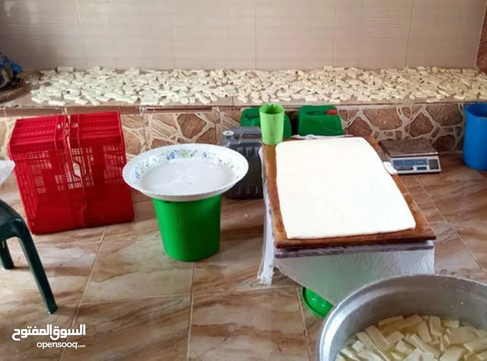مطلوب شريك ممول لمعمل اجبان  يعمل بشكل جيد