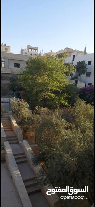 عمارة في حي القادسية للبيع موقع ممتاز وحيوي