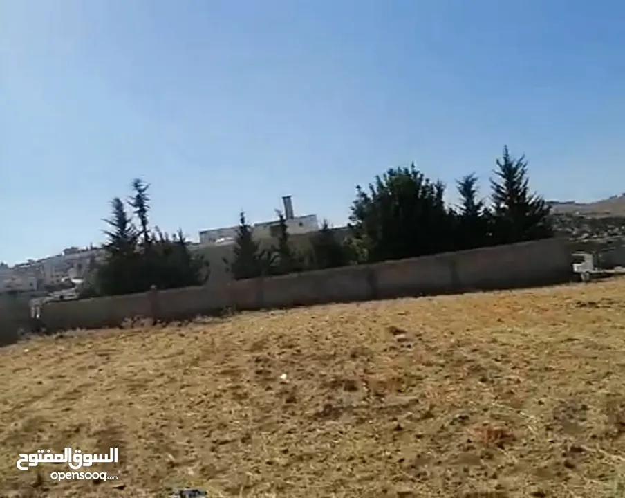 أرض مميزه جدا للبيع بشفا بدران بسعر ممتااااز