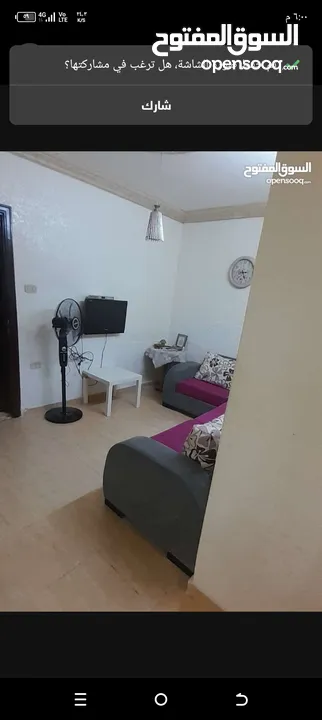 شقق مفروشة للإيجار اربد شارع الجامعة