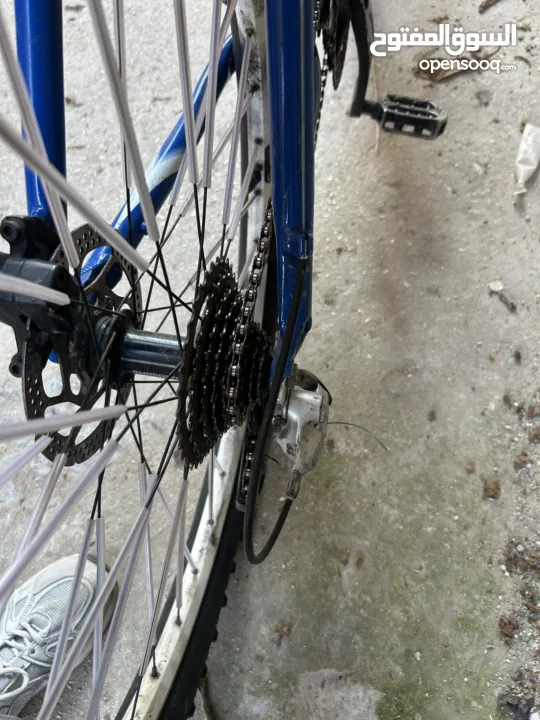 كل أشي مكتوب تحت لحق حالك وفي هدايه عجلين مع البسكليت