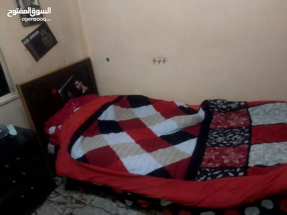 كومدينا زان
