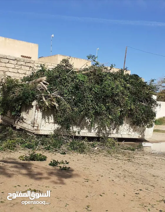 حصادة  المسطحات الخضراء وقص لاشجار بالمنشار البنزين با اسعار مناسبه دخل طرابلس