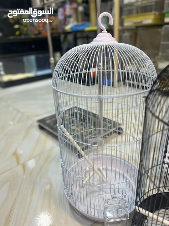 قفص مطاول أبيض أسود بخ حراري