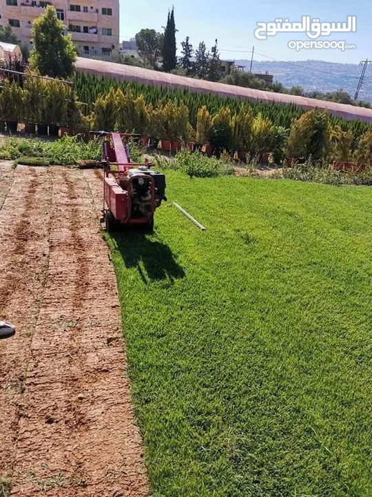 مشاتل الاندلس لانتاج وبيع جميع انواع الاشجار المثمره واشجار الزينه البلديه والمستوردة
