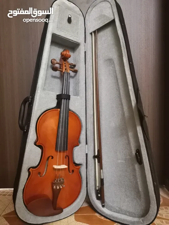 violin for sell (1 left) Or switch it up with an electric guitar