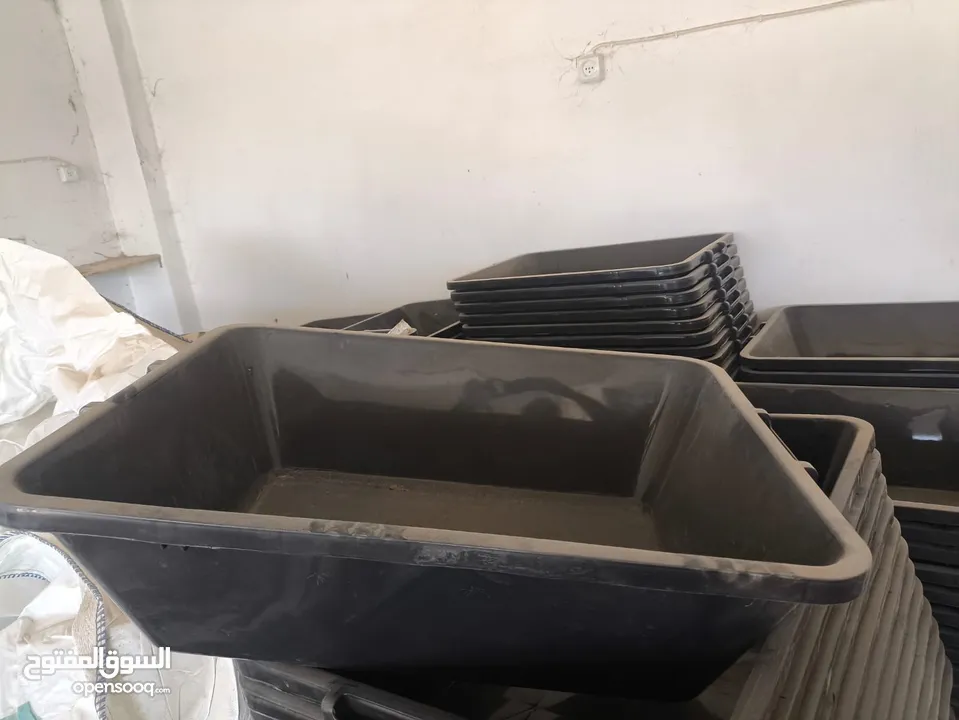 سامر الفاخوري