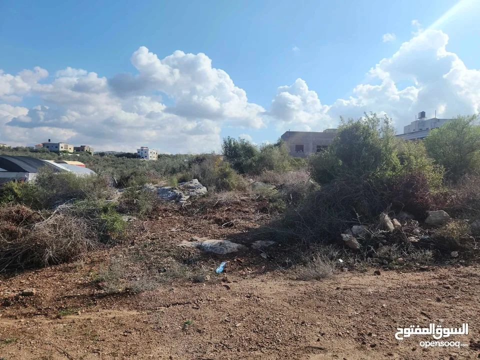 حصة بمنطقة الحرايق