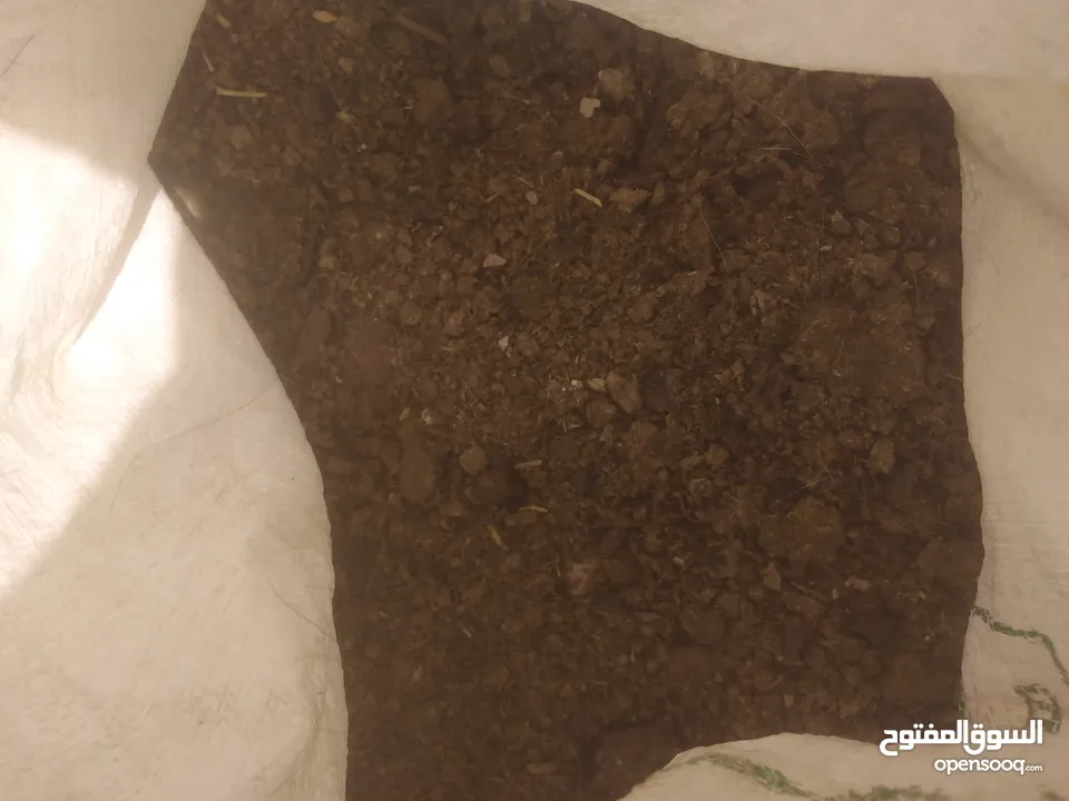 زبل غنم سماد للحدائق والاشجار نصف دينار