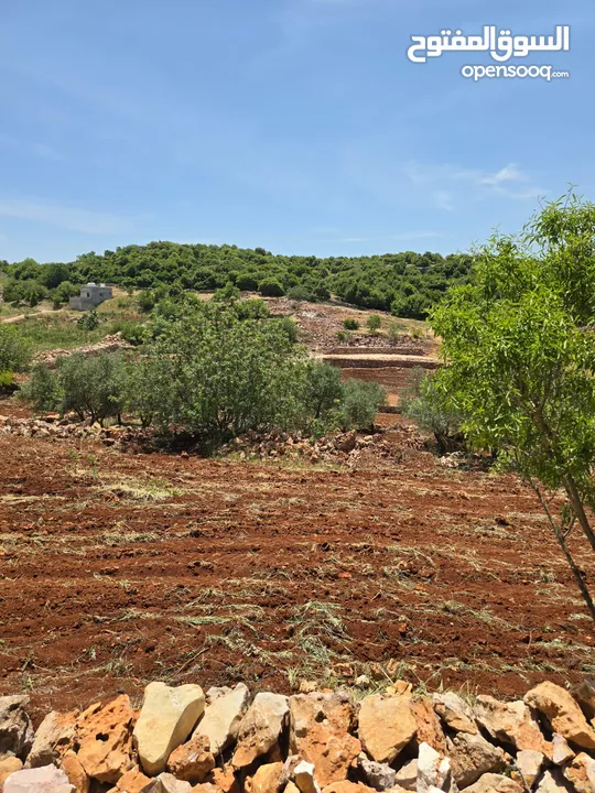 مزرعه 2 دونم مزروعه موقع مميز جدا  من مالك مباشر