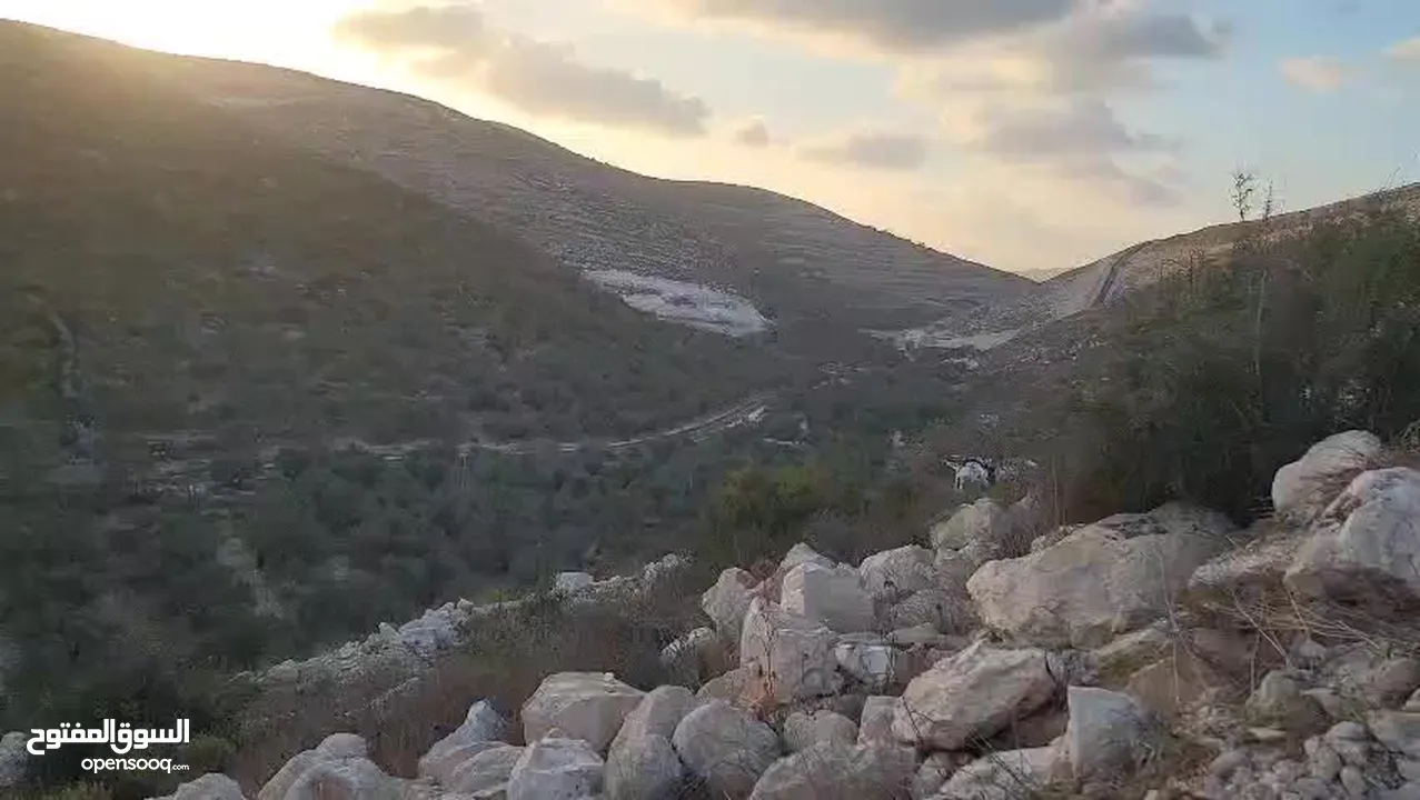 نمرة ارض مميزة للبيع في عصيرة الشمالية بجانب حي الجبل