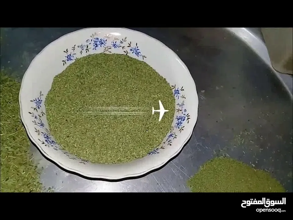 ملوخيه مغسله ومنقبه فرم ناعم جاهزه للطبخ وللتفريز وموجود ناشفه مفروكه وناعمه بدون عيدان مغسله