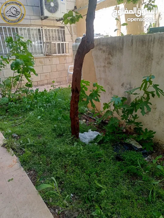 شقة مميزة للبيع في عبدون الشمالي  - خلف المركز العربي 225م مع حديقة وترسات 210م بسعر مغري