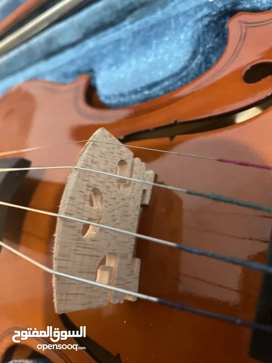 كمان violin  جديد غير مستعمل  antunilla بسعر 35 دينار