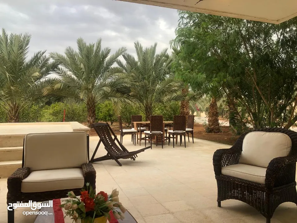 مزرعة في الشونة الجنوبية / غور نمرين - ref: 12165