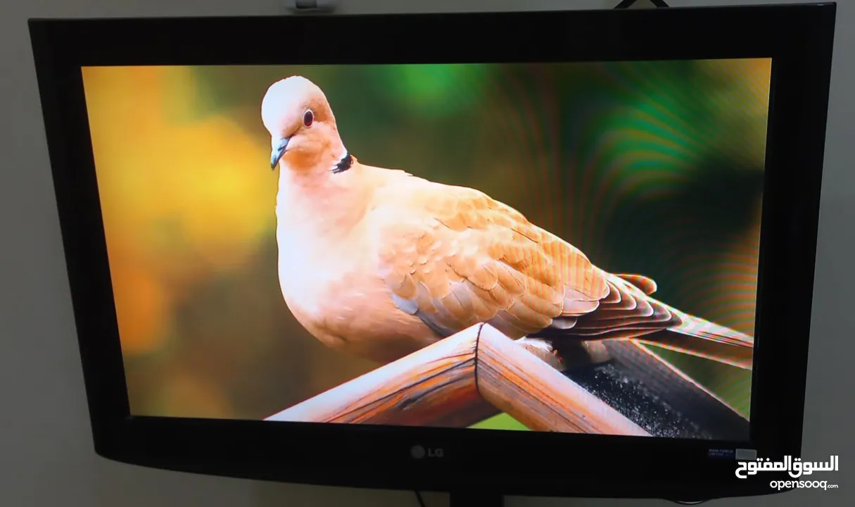 32 Inch LCD TV ( LG ) with Stand