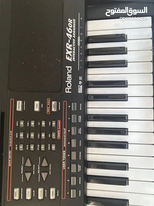 اورج رولاند شرقي غربي  Roland EXR-46 OR