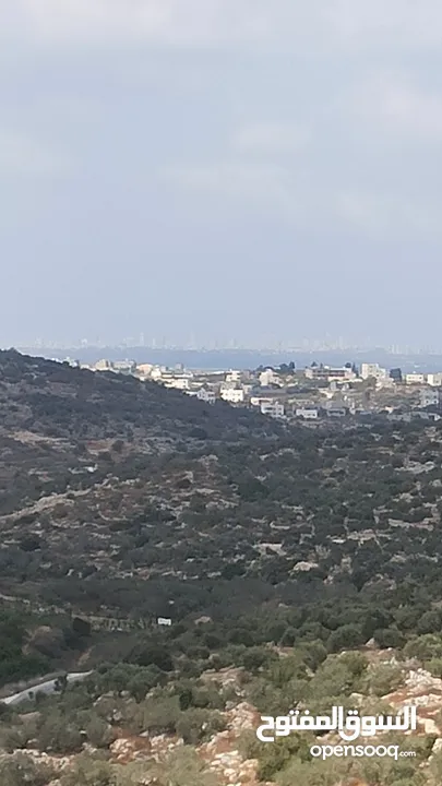 القبة الذهبية  شارع بلعا-دير الغصون