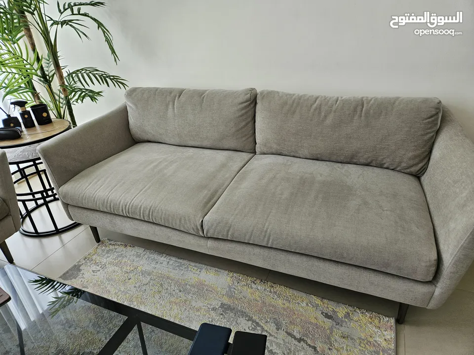 Grey couches from west elm, great condition