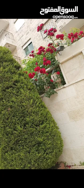 شقة ارضية للبيع. في ابو نصير حي القردوس