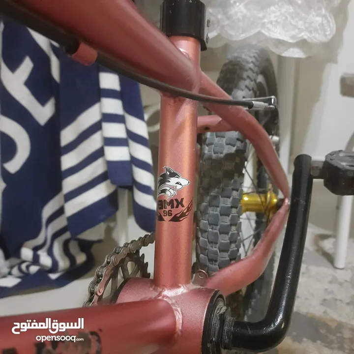 قاري bmx جديد