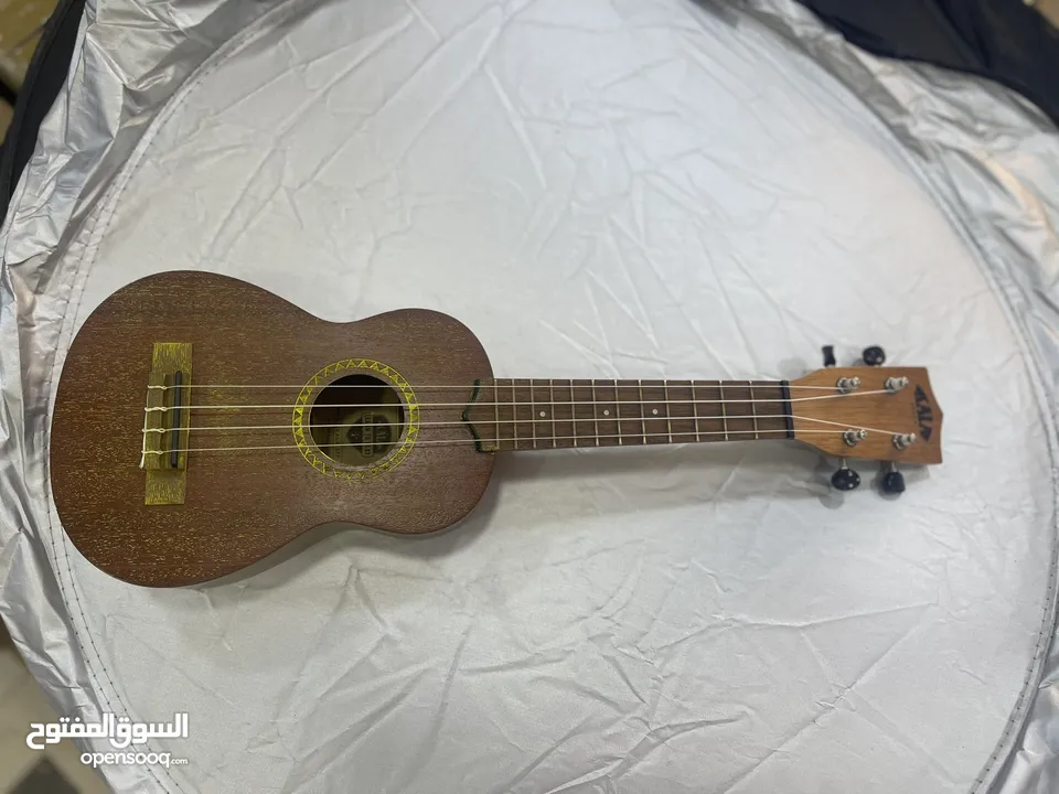 جيتار من شركه كالا مني