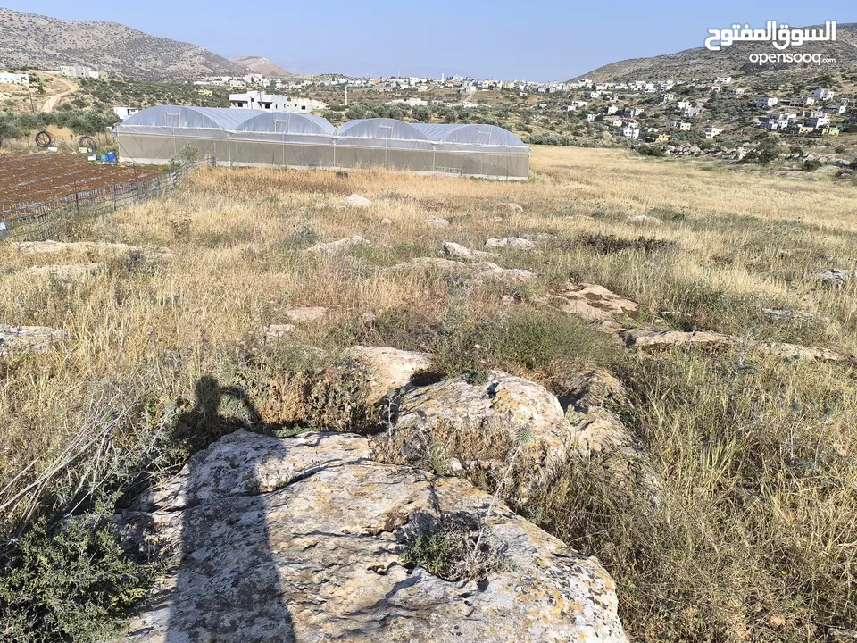 بيع قطعة الأرض في طوباس