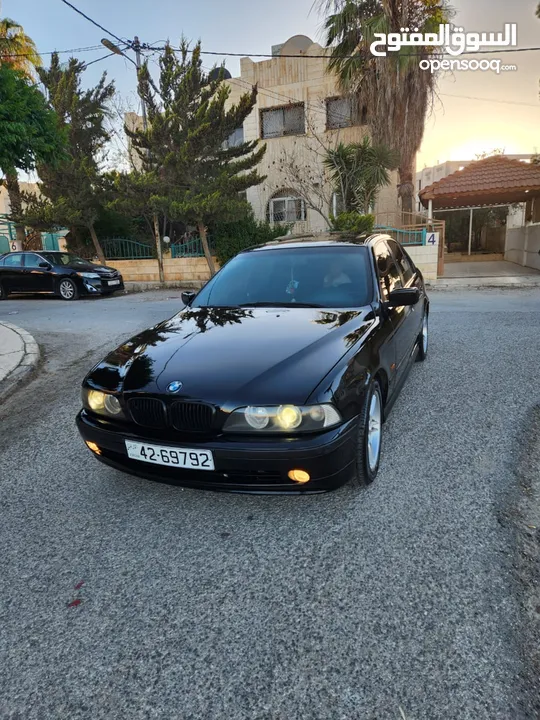 BMW E39 الدب