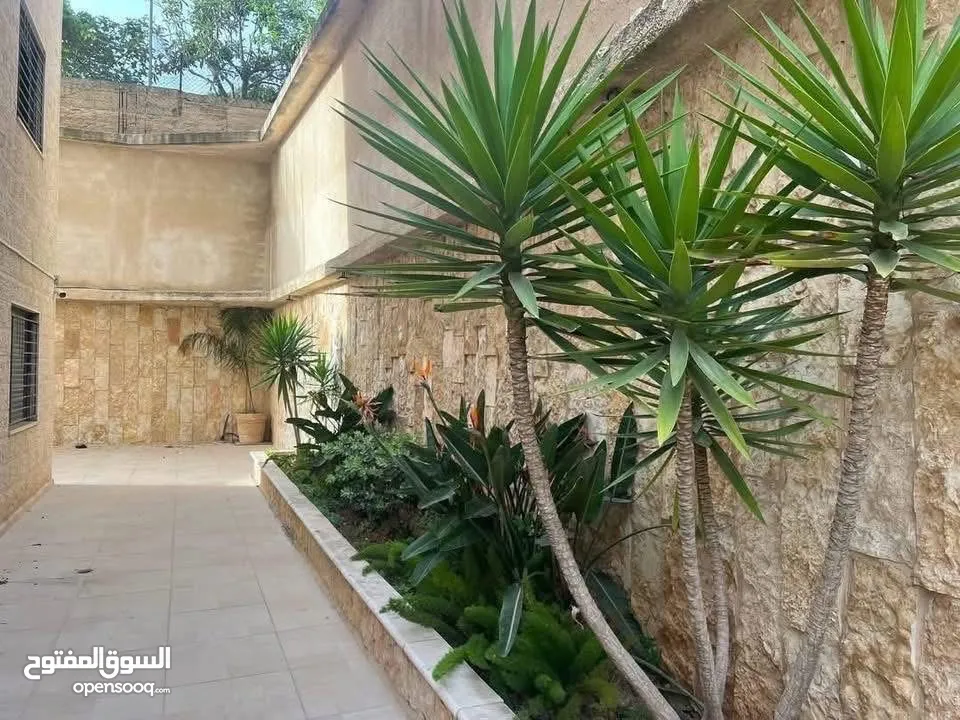 شقه للبيع في المصيون مع حديقه قرب سبجافريدو