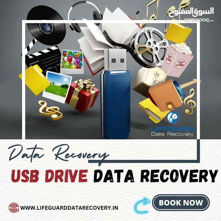Lifeguard Data Recovery Services