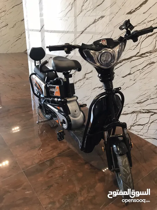 Aster e-bike two seater