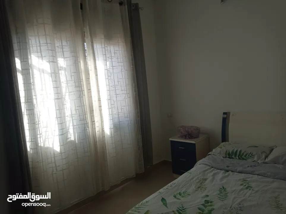 شقه مفروشه تؤجر شهرياً
