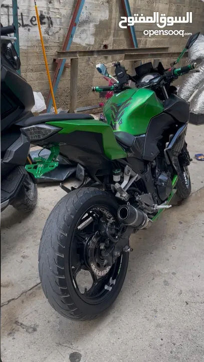 Z300  شطب رسمي