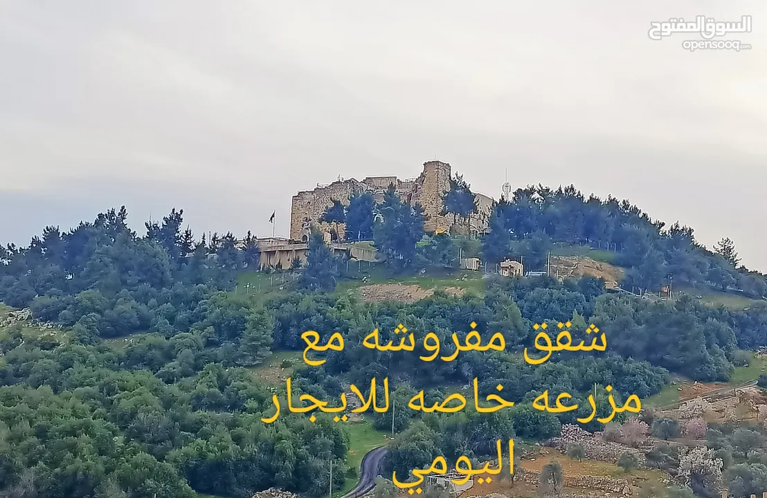 شقق مفروشه للايجار اليومي ومزارع واكواخ  ومسابح مع اجمل الاطلالات خصوصيه كامله