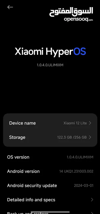 Xiaomi 12 lite