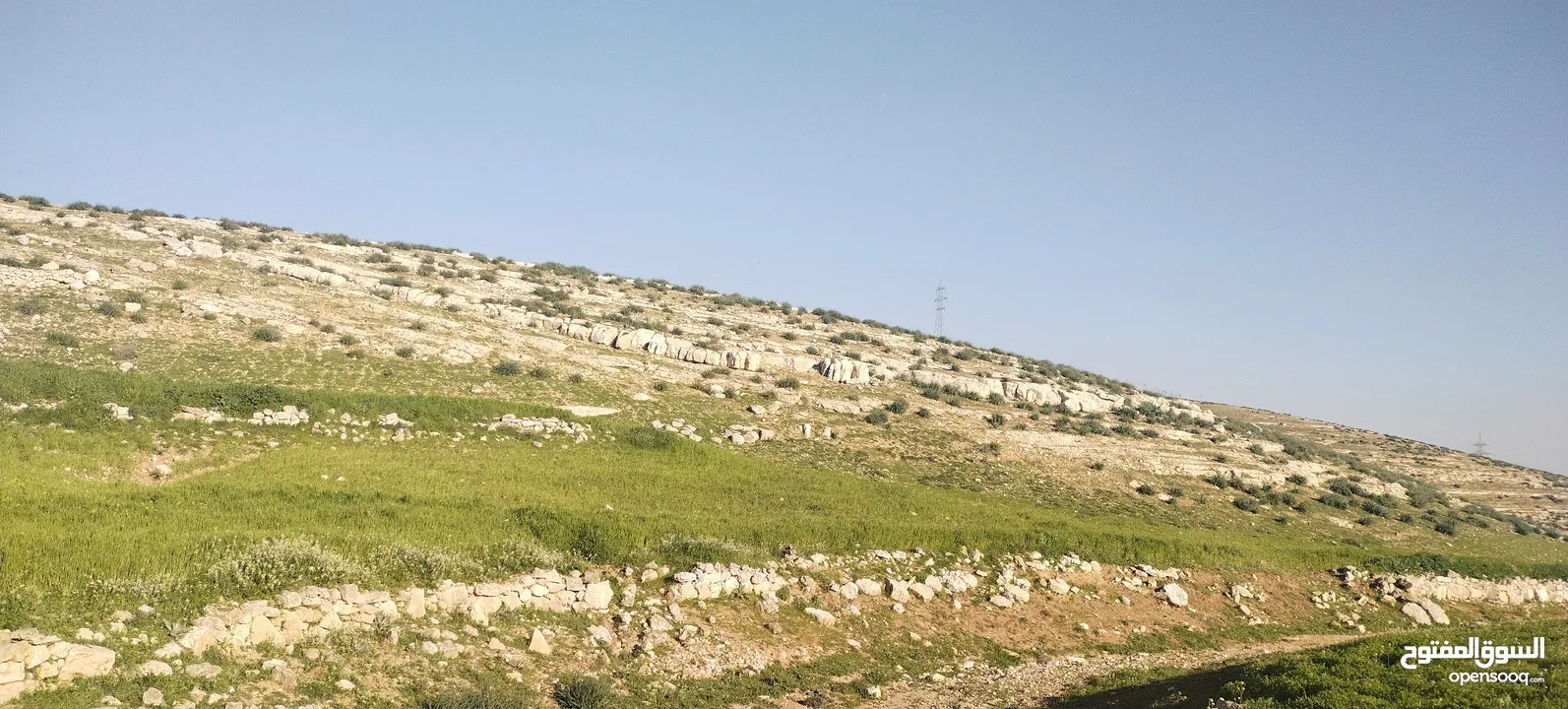 زينات الربوع قرب الترخيص