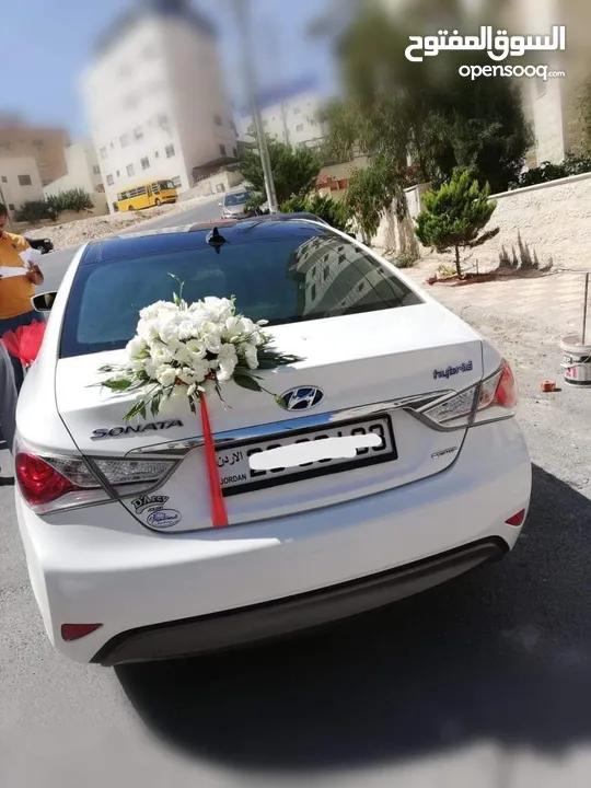 فورد موستينج كشف للأعراس والمناسبات والايام