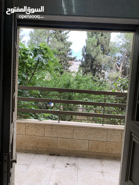 شقة ارضية مع حديقة بلقرب من دوار الفواكه والبنك العربي مقابل صيدلية ابن سينا