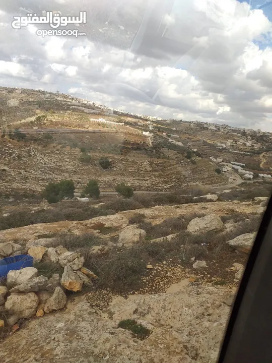 دورا جبل ابو عشرة