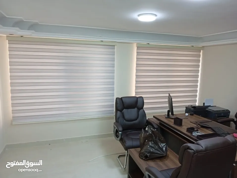 برادي زيبرا