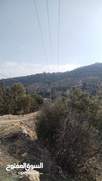 للبيع في السلط/ زي /دعم دونم و700متر مطله على الغابه الخضراء يوجد ميلا خفيف  جميع الخدمات متوفرة
