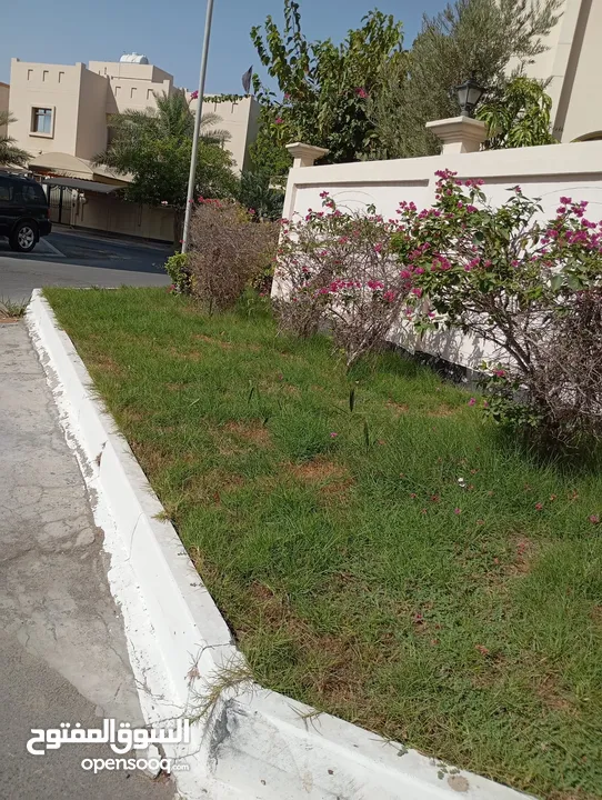 فيلا للايجار في بوقوة  Villa for rent in Buqwa