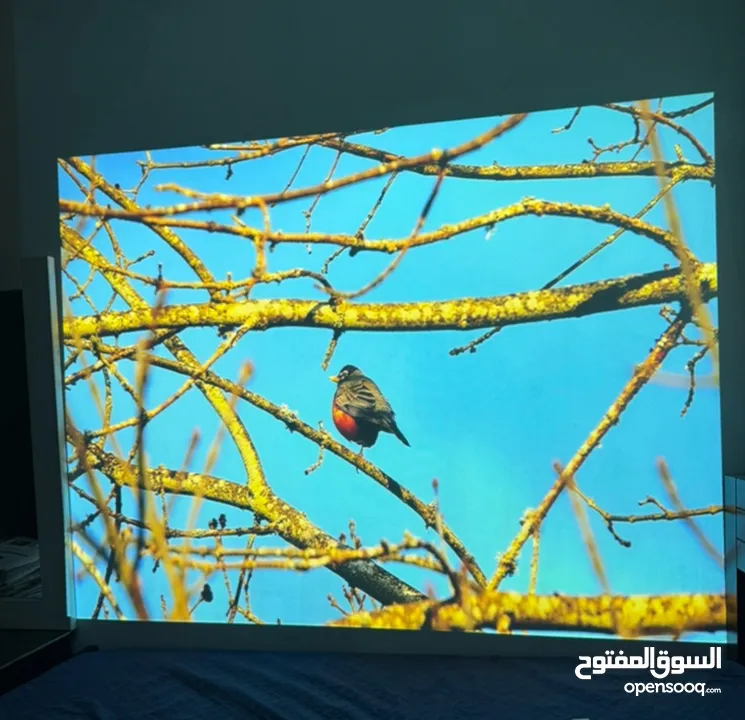 بليستيشن 4 سلم مع بروجكتور سامسونج