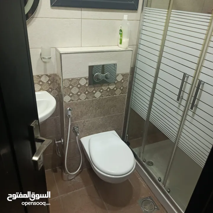 شقة فخمة مفروشة للايجار مع حديقة